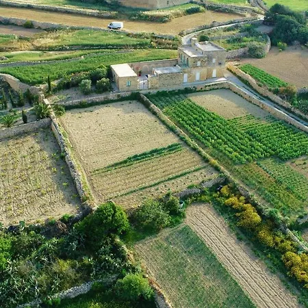 Sant Anton Tal-qabbieza *