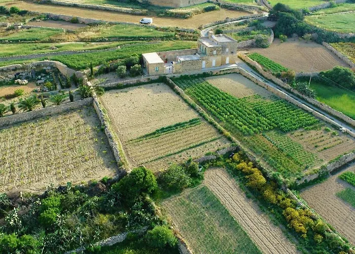 Sant Anton Tal-qabbieza *